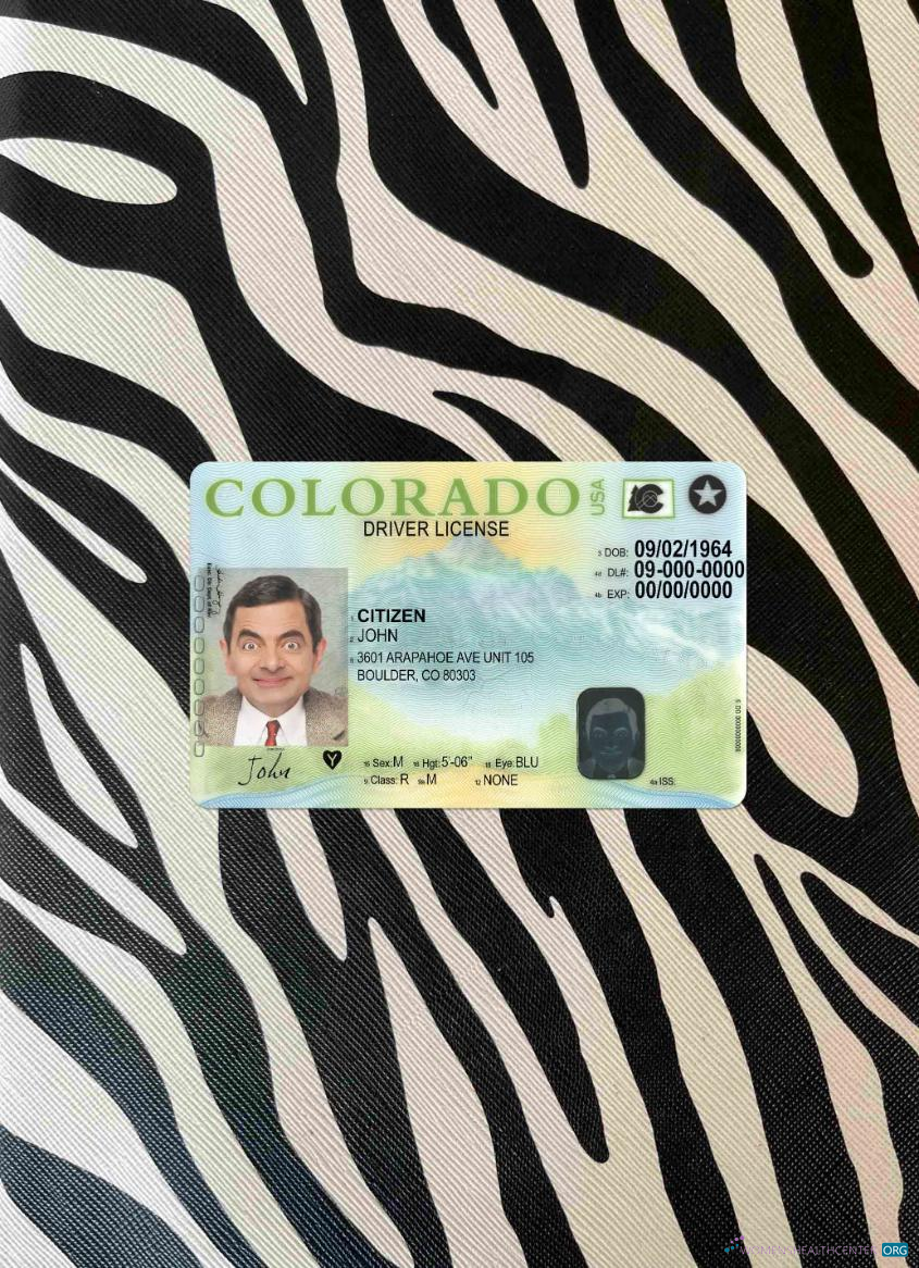 Download USA Colorado driving license version 2 photolook FRONT Photoshop template